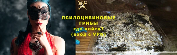 дмт Абаза