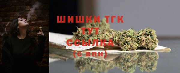 стаф Покачи