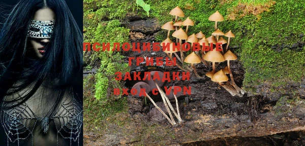 амф Покров