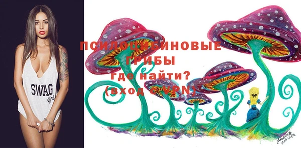 дурь Алзамай
