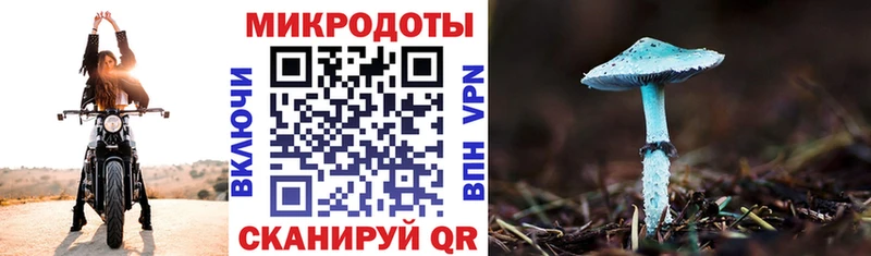 Псилоцибиновые грибы мицелий Нижние Серги